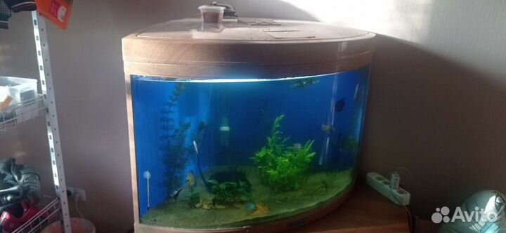 Аквариум Jebo