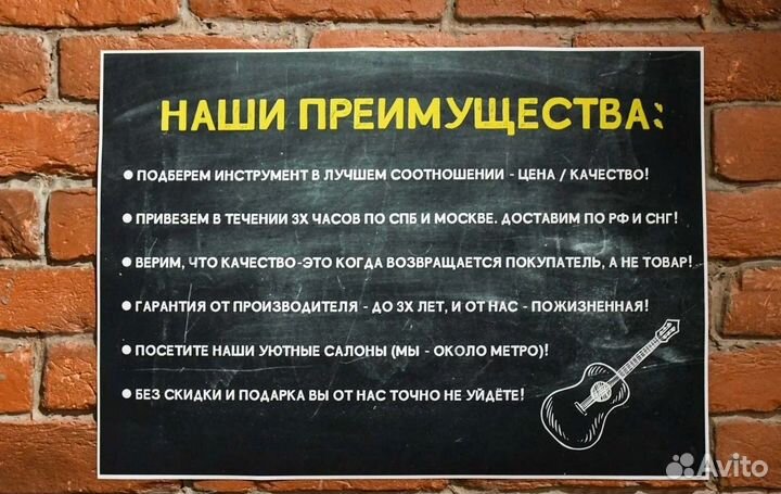 Электрогитара Traveler Guitar Speedster Standard R