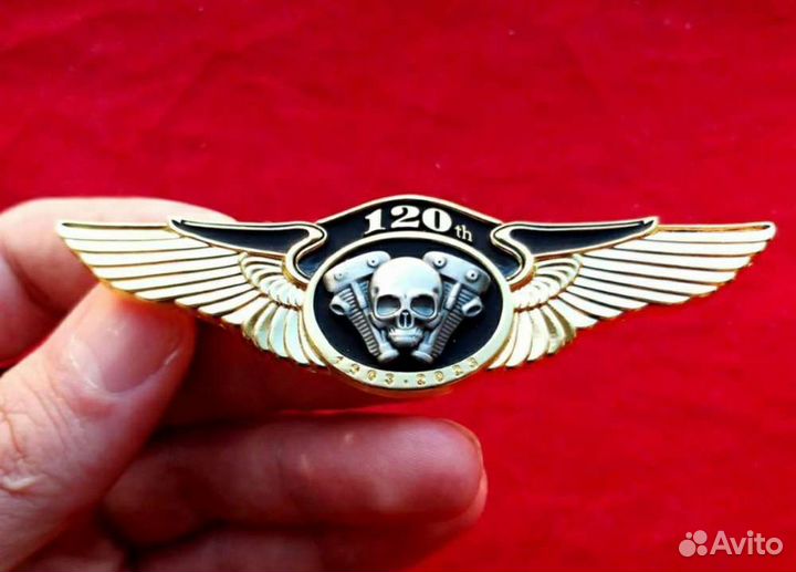 Нагрудный знак с черепами