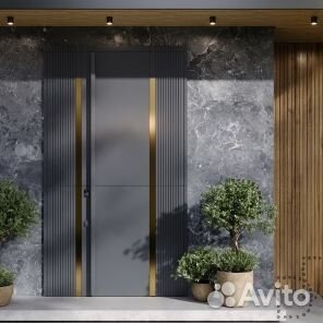 Дизайнерская металлическая дверь в дом DD-293