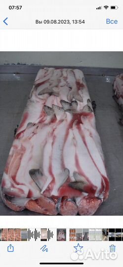 Горбуша пбг