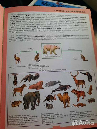 Книги, энциклопедии