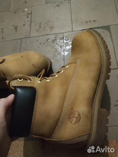 Timberland