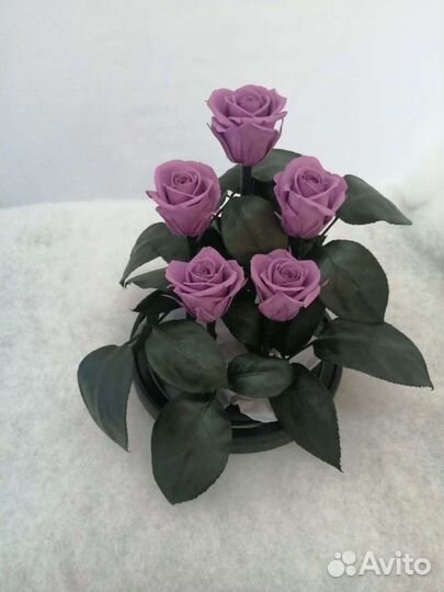 Роза в колбе оптом и в розницу