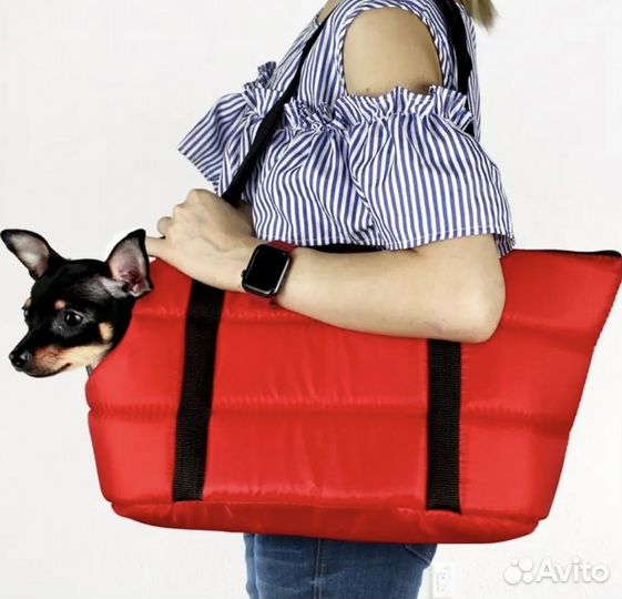 Сумка переноска и костюмчик для питомца