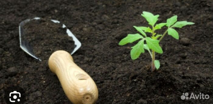 Земля для сада, огорода и клумб