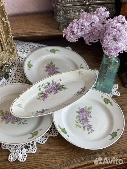 Сирень Дулево