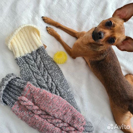 Свитер для маленьких собак