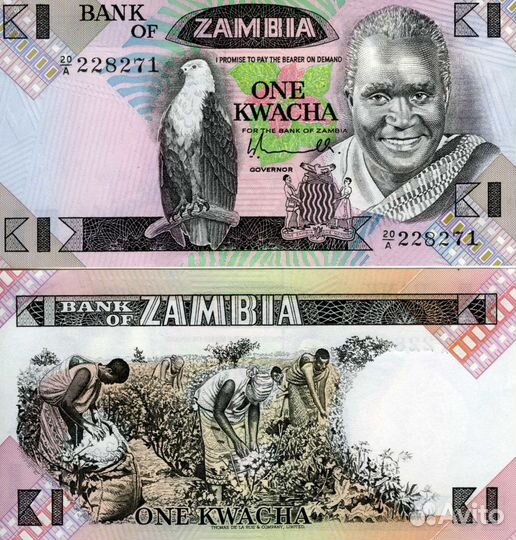 Банкнота Замбия
