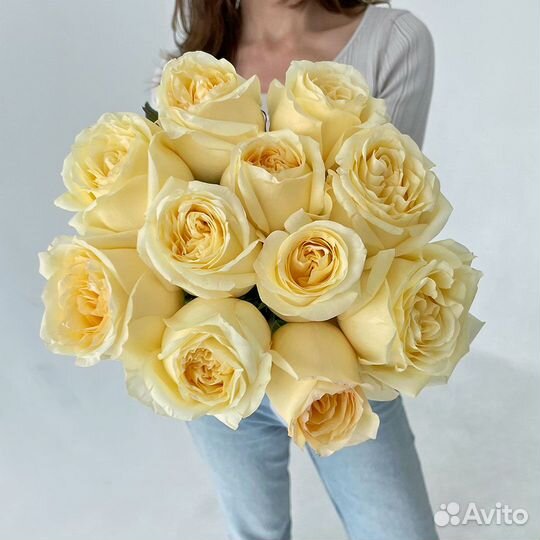 Букет из 11 пионовидных кремовых роз «Кэндллайт»