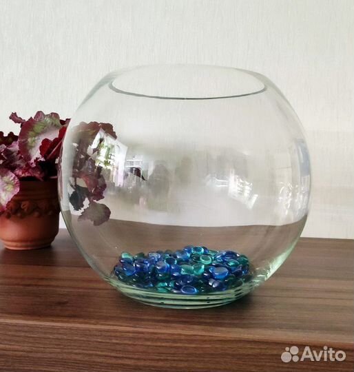 Аквариумы, оборудование и декорации