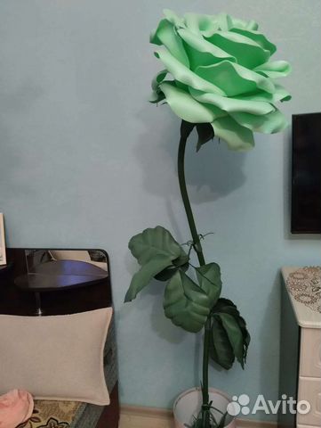 Роза декоративная