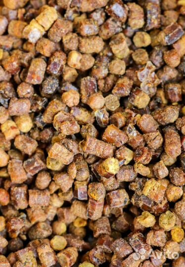 Перга пчелиная