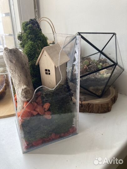 Флорариум с композицией
