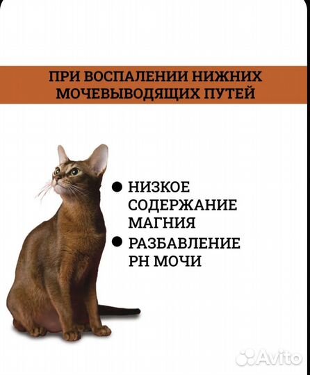 Royal Canin Urinary Urinary S/O LP34 корм