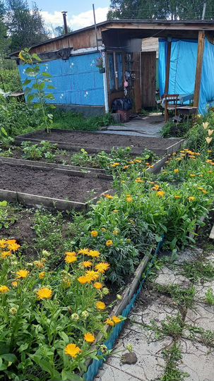 Дача 30 м² на участке 4 сот.