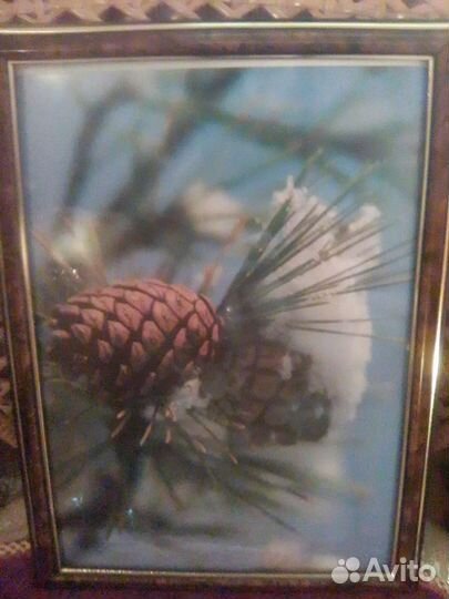 Рамки для фотографий