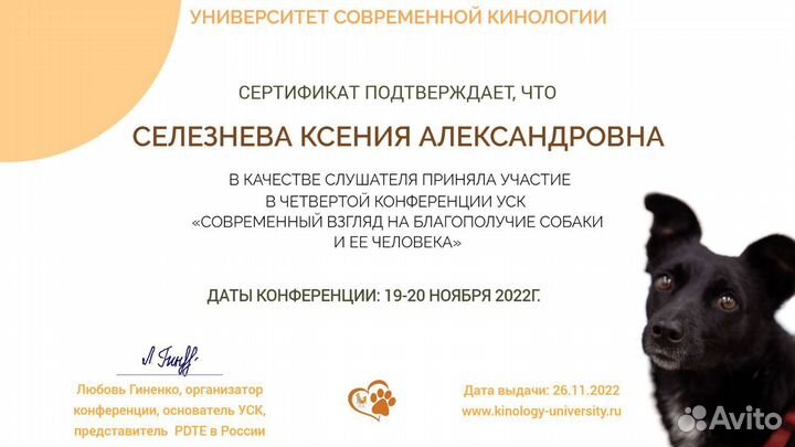 Передержка и ситтинг собак