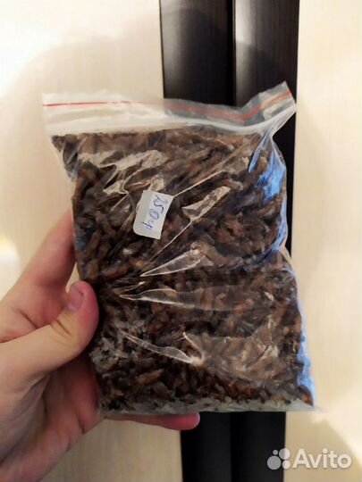 Кормовые насекомые Сверчок, Таракан, Зофобас и т.п