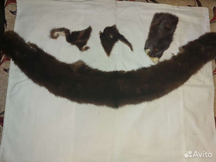 Шкурки норки
