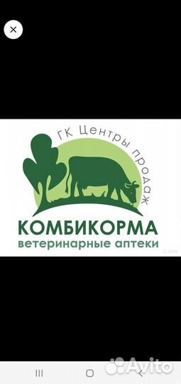 Опилки стружка в брикетах 0.1 куба