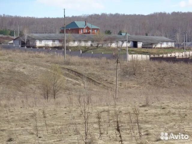 Ферма натуральных продуктов и коттедж