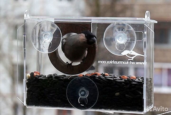 Кормушка для птиц на присосках Фотокамера