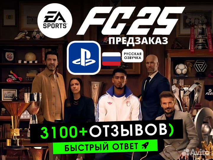 FC 25 (FIFA 25) PS4 / PS5