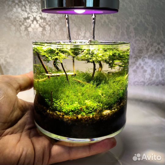 Оформление и обслуживание аквариумов