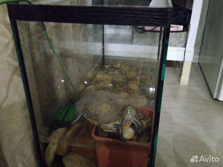 Аквариум 110 литров, 30 литров и т. д