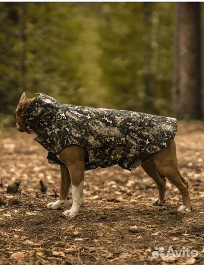 Попона для собак