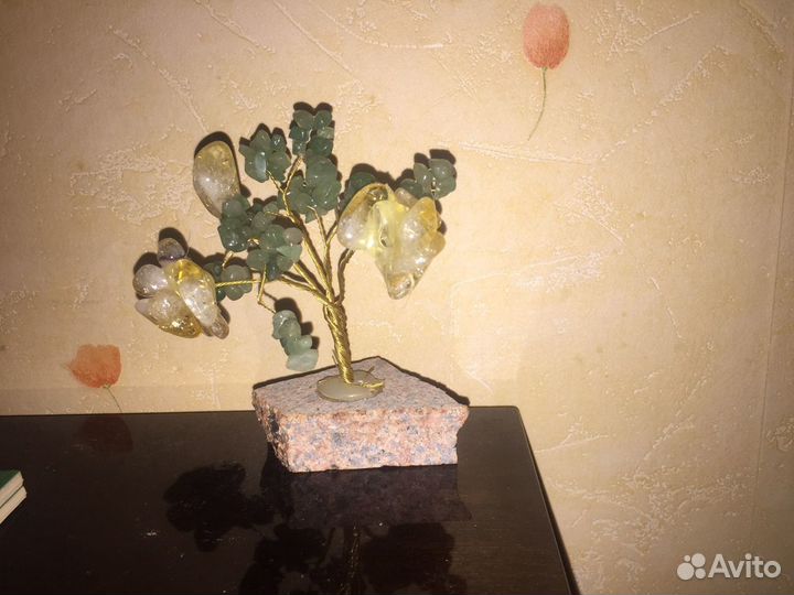 Денежное дерево