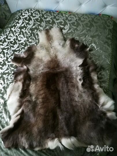 Шкура оленя