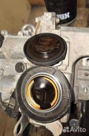 Двигатель 1.4 CAV из Японии CAV 145x286