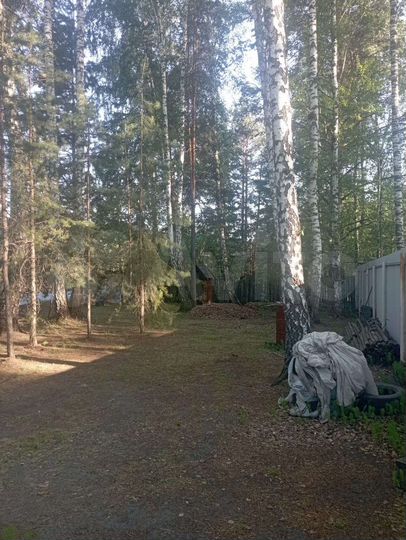 Участок 12,7 сот. (СНТ, ДНП)