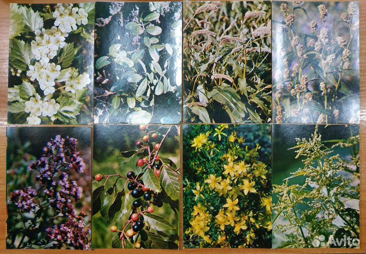 Набор открыток СССР 