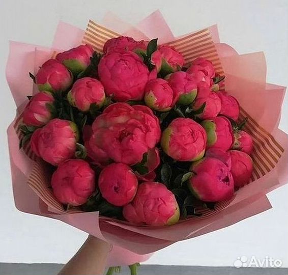 Пионы Цветы Доставка