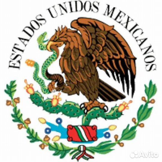 Кактус опунция Монаканта вариегатная