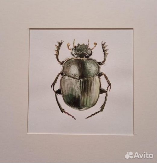 Картина акварель жуки