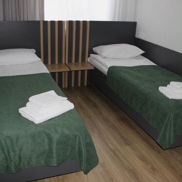 Демидов (бывш. Фиона)