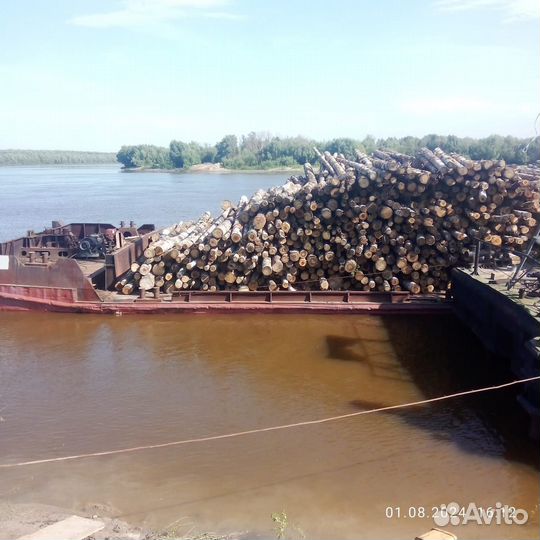 Лес кругляк сосна,берёза, осина