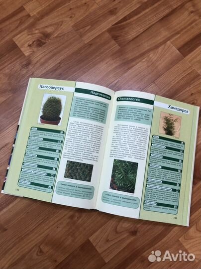 Энциклопедия комнатных растений,Дизайн и ремонт