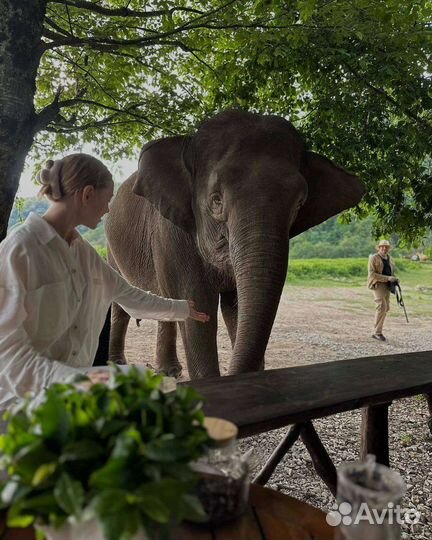 Экскурсия по сочи В парк слонов
