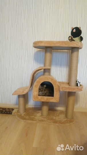 Игровой спорт комплекс для кошек и котов