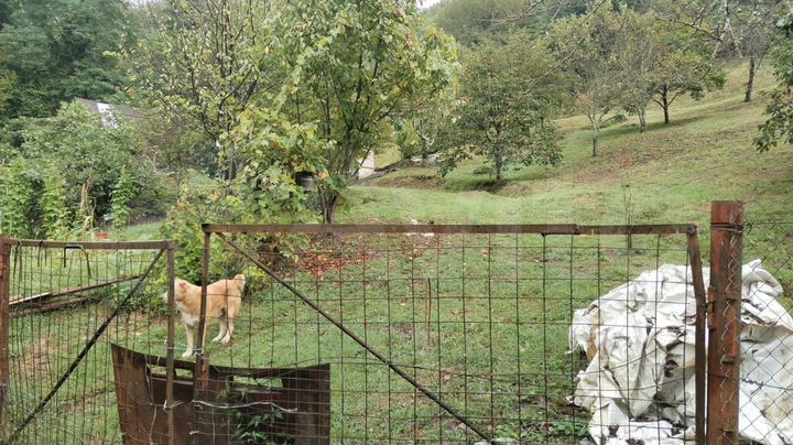 Участок 20 сот. (СНТ, ДНП)