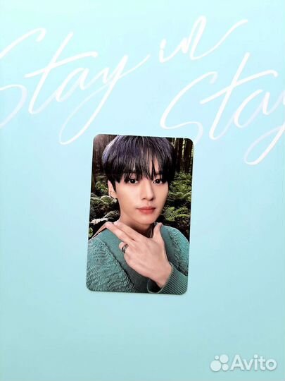 Карта Stray Kids Минхо к мерчу Stay in Stay