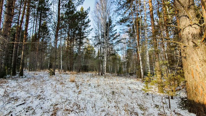 Участок 13 сот. (СНТ, ДНП)