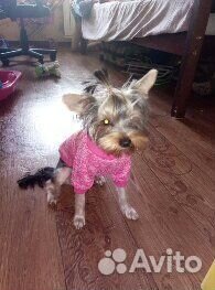 Вязка девочка