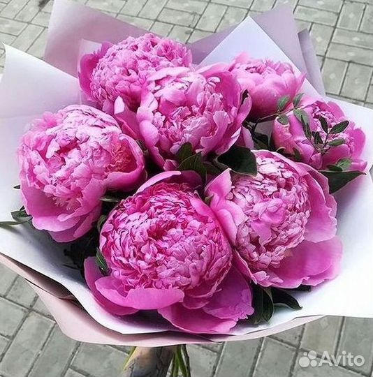 Пионы Букет