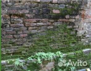 Интеллектуальный инспекционный робот